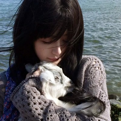 奈良答案 海报