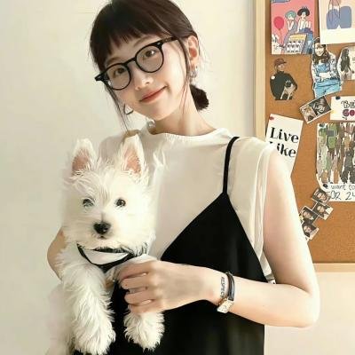 龙仁作家 海报